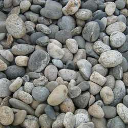 Булыжник Картошка купить