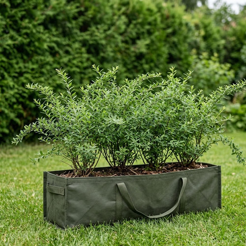 Спирея серая Грейфшейм купить